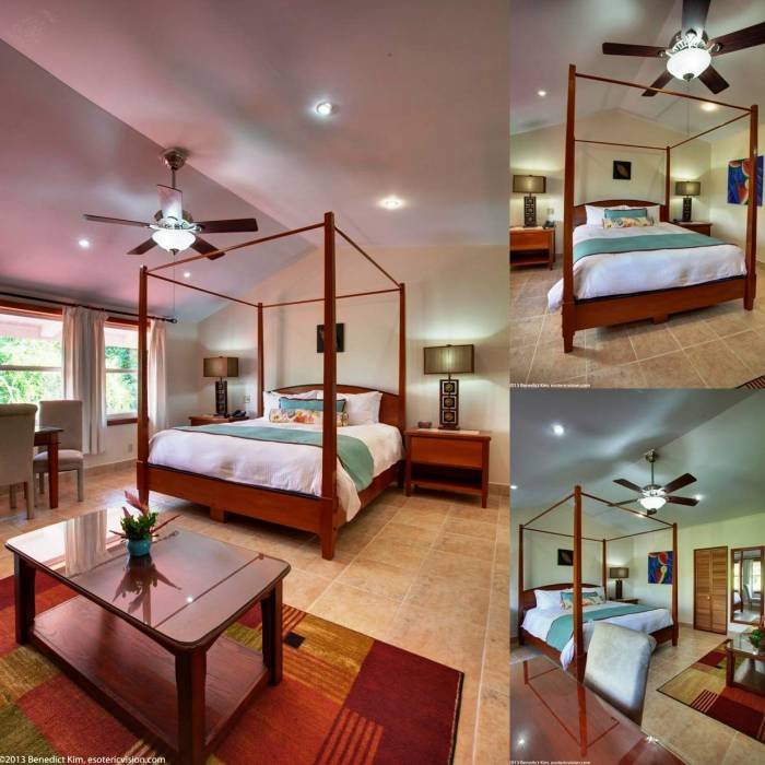 Regal Roon Profile Photos of San Ignacio Resort Hotel #18 Buena Vista Street - Photo 5 of 10