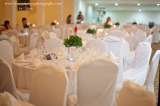 Wedding event San Ignacio Resort Hotel #18 Buena Vista Street 
