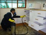  Ray's Family Pest Control 9955 Grapeview Boulevard 