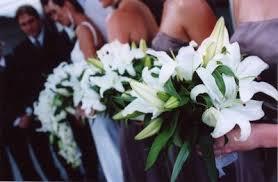  Profile Photos of Harbour Town Florist 147 Brisbane Rd - Photo 3 of 3