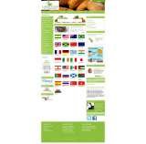World Food, Cookery Club, Norwich