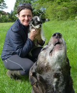 Hansons Hounds and Horses, Leeds