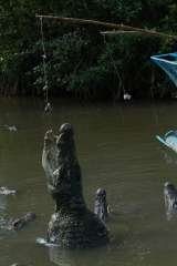 Les Rives, Ho Chi Minh City