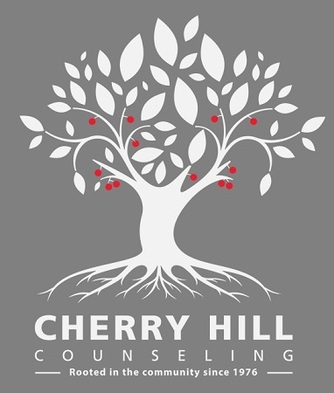This is the image description Profile Photos of Cherry Hill Counseling Vernon Hills 977 Lakeview Parkway, Suite 160 - Photo 1 of 2