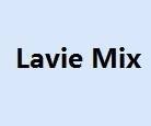  Profile Photos of Lavie Mix Store 1st Floor, 8# Building, JiuXiangLing Industrial Park, NanShan Area - Photo 1 of 1