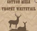 Cotton Mesa Trophy Whitetail, Wortham