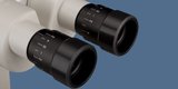 Trevi Technology, Inc., Columbus