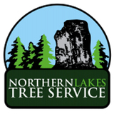 Priest Lake Tree Services, Priest River