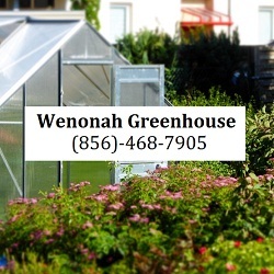  Profile Photos of Wenonah Greenhouse 100 East Cedar Street - Photo 4 of 6