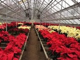  Wenonah Greenhouse 100 East Cedar Street 