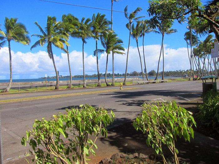  New Album of Capital Loan Associates - Heidi Lawler 118 Kamehameha Ave., Suite #2 - Photo 6 of 6
