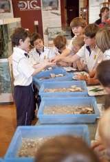 Search through artefacts., DIG-An Archaeological Adventure, York