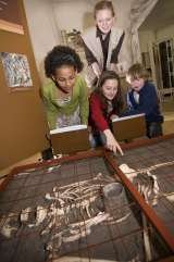 DIG-An Archaeological Adventure, York