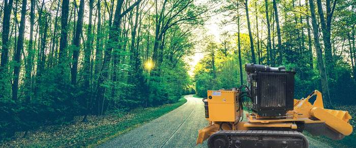  Profile Photos of David's Tree Service 221 West 2nd Street, Suite 634 - Photo 5 of 11