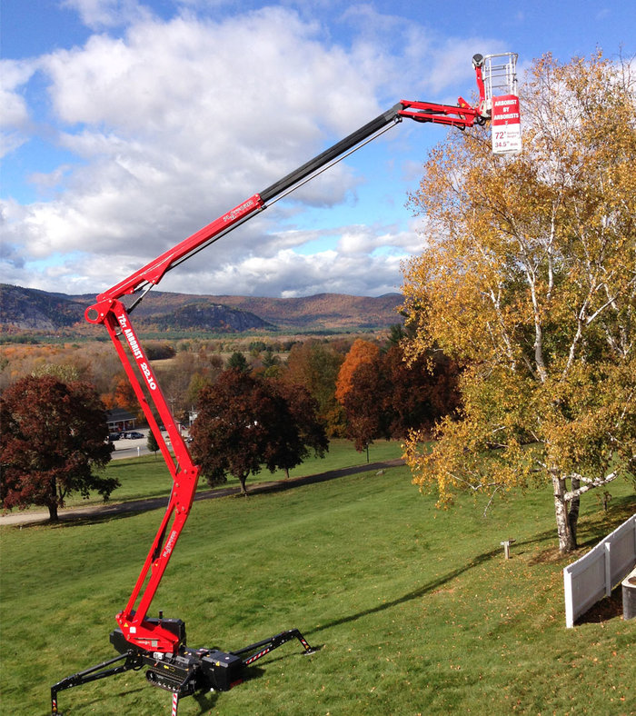  Profile Photos of David's Tree Service 221 West 2nd Street, Suite 634 - Photo 10 of 11