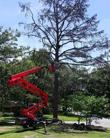  David's Tree Service 221 West 2nd Street, Suite 634 