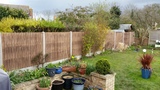 JD Trees And Landscaping Ltd, st neots