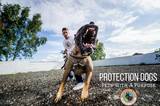  Protection Dogs Worldwide Sundown Station Lane, Broomfleet 