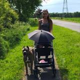 Protection Dogs Worldwide, Brough