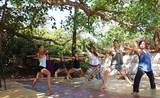 200  Hour Yoga TTC, arambol