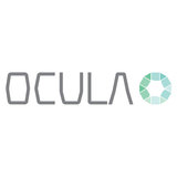 Ocula Motion Graphics, Bristol