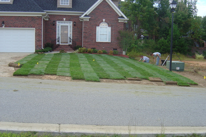                                 New Album of Lawn Impressions 594 Viking Pl - Photo 17 of 18