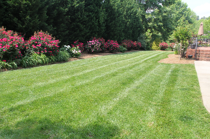  New Album of Lawn Impressions 594 Viking Pl - Photo 16 of 18