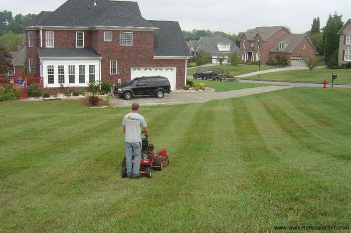  New Album of Lawn Impressions 594 Viking Pl - Photo 14 of 18