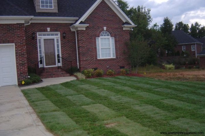  New Album of Lawn Impressions 594 Viking Pl - Photo 13 of 18