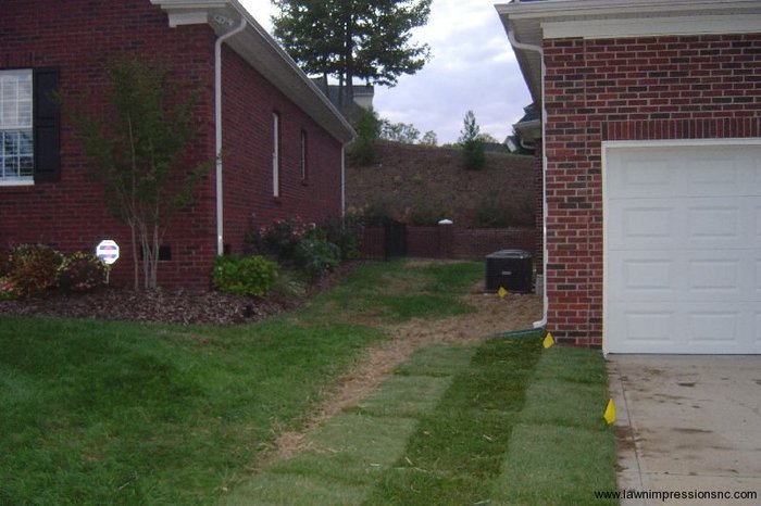  New Album of Lawn Impressions 594 Viking Pl - Photo 11 of 18