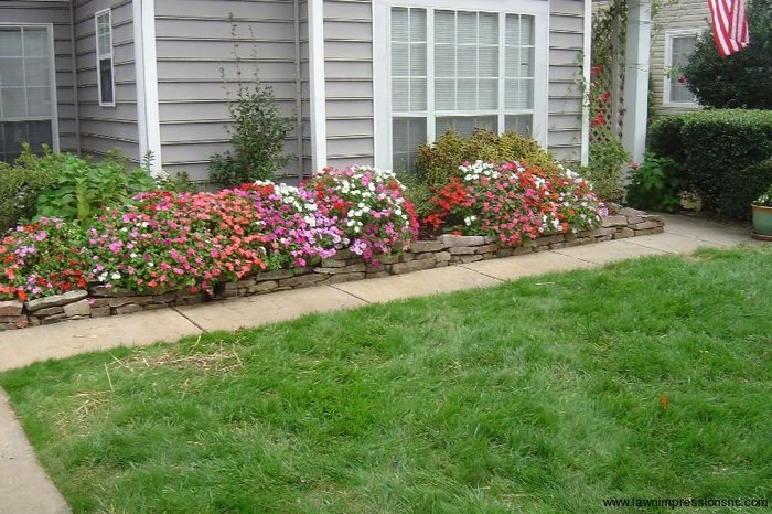  New Album of Lawn Impressions 594 Viking Pl - Photo 8 of 18