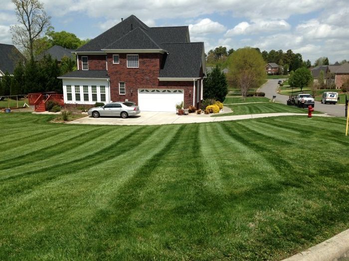  New Album of Lawn Impressions 594 Viking Pl - Photo 6 of 18