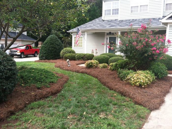  New Album of Lawn Impressions 594 Viking Pl - Photo 5 of 18