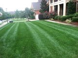 Lawn Impressions, Concord