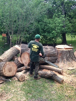  New Album of Arbor-Tech Tree Service 10717 CR 2312 - Photo 2 of 8