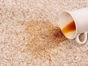  New Album of Carpet Cleaning Melbourne 123 collins st - Photo 2 of 6