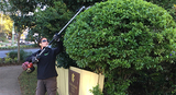 Premium Gekko Gardening, Ferny Hills