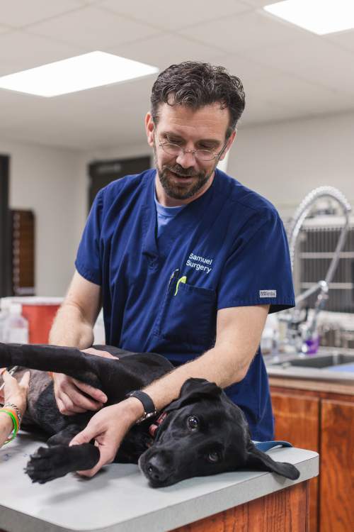  Profile Photos of Central Texas Veterinary Specialty & Emergency Hospital 4434 Frontier Trail - Photo 1 of 3