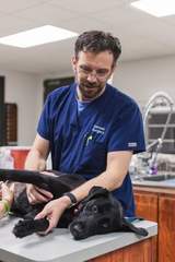 Central Texas Veterinary Specialty & Emergency Hospital, Austin