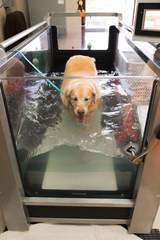 Central Texas Veterinary Specialty & Emergency Hospital, Austin