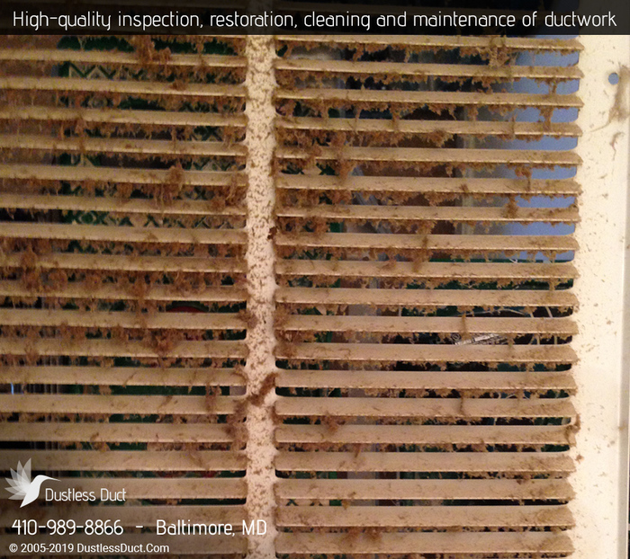  Our Sevices of Dustless Duct 1 N Eutaw St - Photo 2 of 14