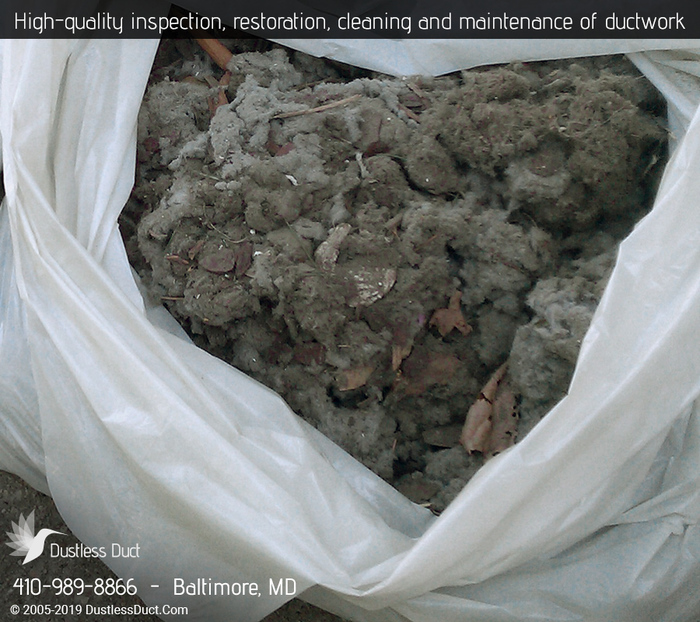 Our Sevices of Dustless Duct 1 N Eutaw St - Photo 4 of 14