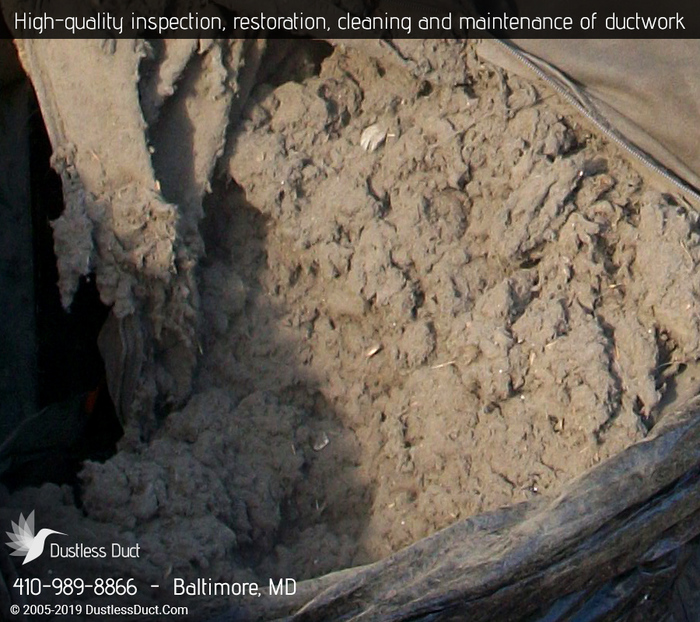  Our Sevices of Dustless Duct 1 N Eutaw St - Photo 5 of 14