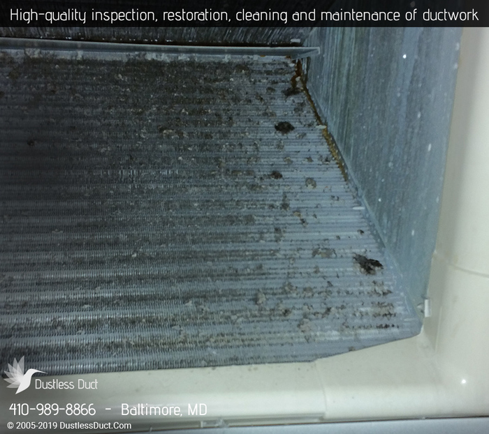  Our Sevices of Dustless Duct 1 N Eutaw St - Photo 7 of 14