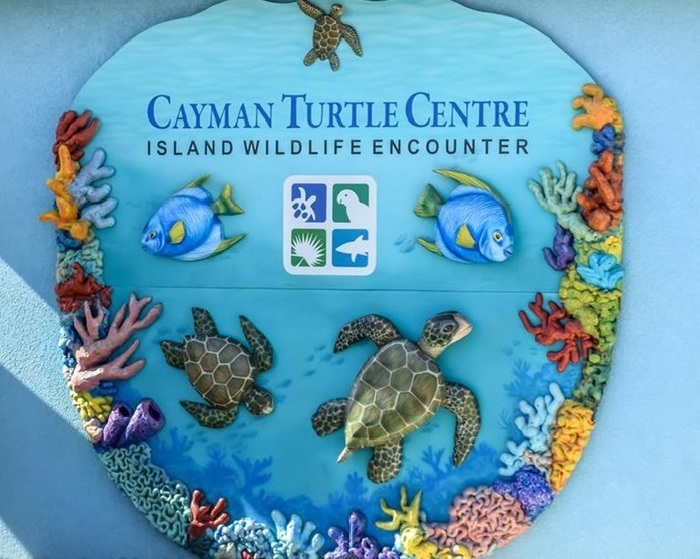  New Album of Cayman Turtle Centre 786 Northwest Point Road, - Photo 6 of 7