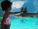  Cayman Turtle Centre 786 Northwest Point Road, 