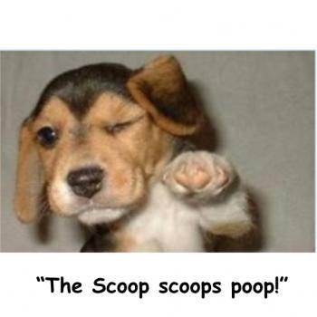  Profile Photos of The Scoop Pet Waste Management 5308 Sandstone St - Photo 4 of 4