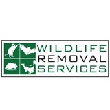 Wildlife Removal Services, San Diego