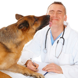 East Bend Animal Hospital, Bend