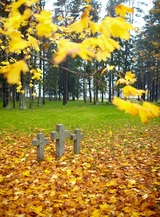 Three tombstone crosses and tree with yellow leaves. Cemetery of German soldiers in Toila, Estonia. Autumn., Conway Cahill-Brodeur Funeral Home, Peabody